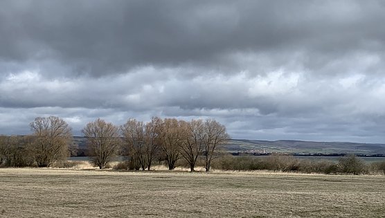 Bei Auleben (Foto: oas)