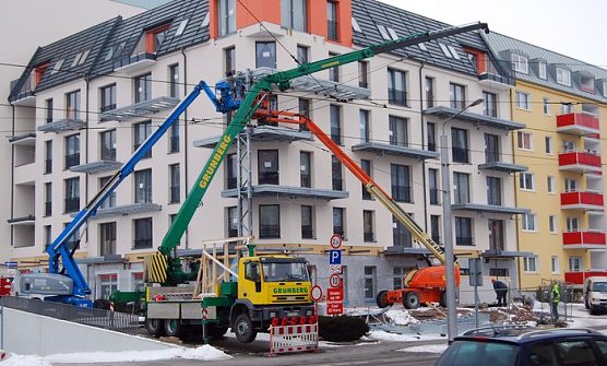 Spinne an der Wand (Foto: W. Kaiser)