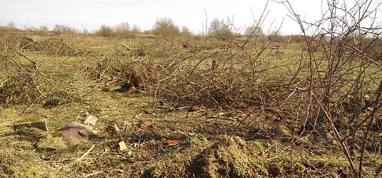 Schon sind B&uuml;sche und Str&auml;ucher auf einer Fl&auml;che s&uuml;d&ouml;stlich vom Tierheim gerodet. Eine illegale Ma&szlig;nahme, klagt die Untere Naturschutzbeh&ouml;rde und ist emp&ouml;rt. Sie soll Konsequenzen haben. (Foto: Kurt Frank)