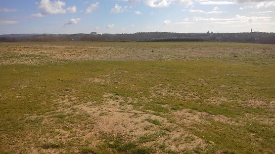  Auf  der einst ebenfalls natur belassenen Fl&auml;che mit B&uuml;schen und Str&auml;uchern nord&ouml;stlich vom Tierheim  folgte eine Bauschuttdeponie. Inzwischen ist sie begradigt und einplaniert. Eine Wiederbegr&uuml;nung erfolgte nicht. Geplant sind Solaranlagen. Im Hintergrund links das Krankenhaus, rechts die Kircht&uuml;rme der Stadt. (Foto: Kurt Frank)