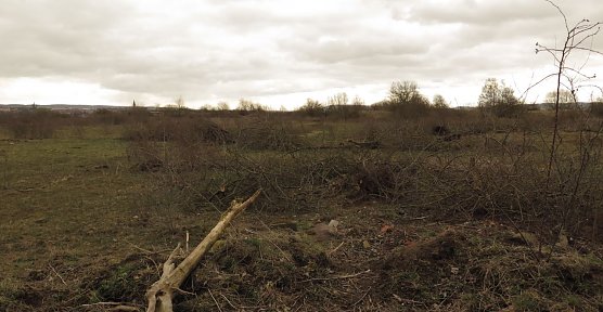 Blick auf den Holungsb&uuml;gel (Foto: nnz)