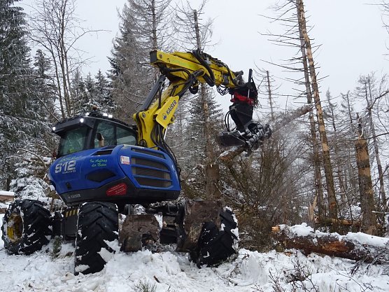 Schreitbagger im Einsatz (Foto: Sabine Bauling)