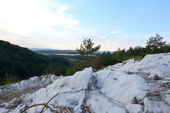 Fotowettbewerb des Landschaftspflegeverbands Südharz-Kyffhäuser (Foto: Thomas Stephan) Fotowettbewerb des Landschaftspflegeverbands Südharz-Kyffhäuser (Foto: Thomas Stephan)