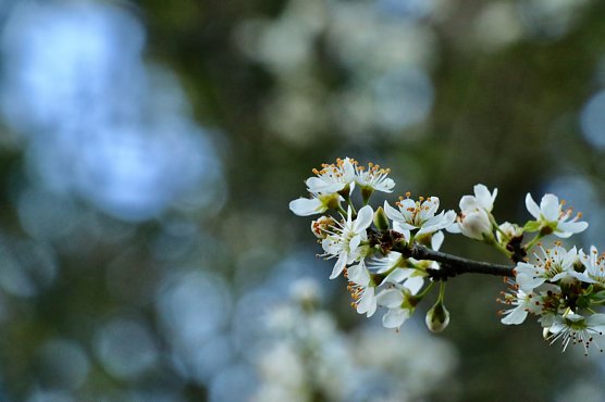 Wetterbild (Foto: agl) Wetterbild (Foto: agl)