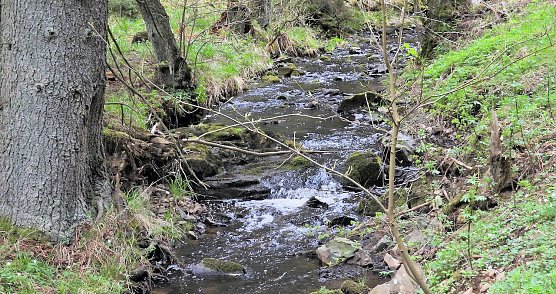 Vatertagswanderug (Foto: P.Blei) Vatertagswanderug (Foto: P.Blei)