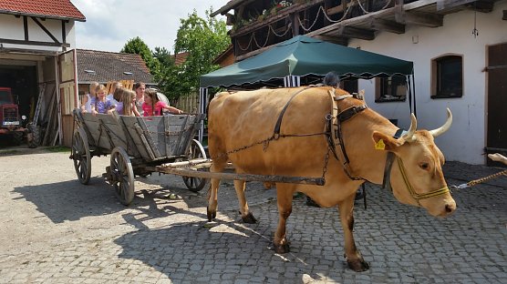 Auf dem Erlebnisbauernhof in Kleinberndten freut man sich schon auf die Sommerferien (Foto: Landleben e.V.)