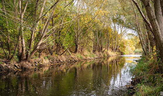 Die Wipper (Foto: Jana Gro&szlig;)
