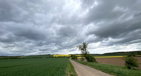 Bei Nordhausen (Foto: oas)