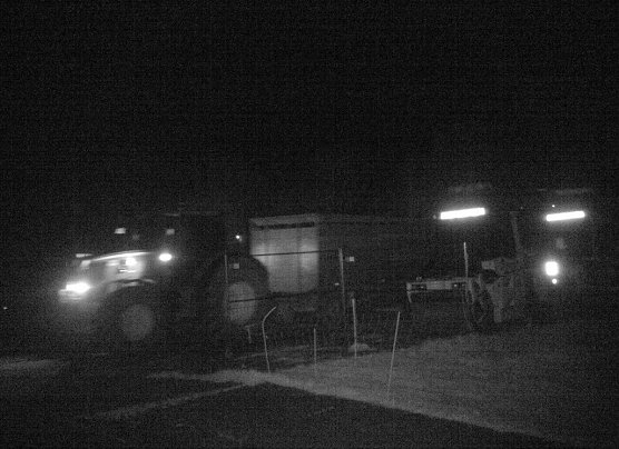 Diese Aufnahme soll angeblich den Abtransport der verendeten Schafe zeigen (Foto: PETA)