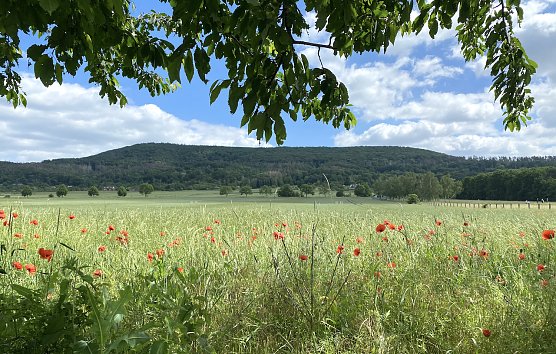 Im Kyffh&auml;userland (Foto: oas)