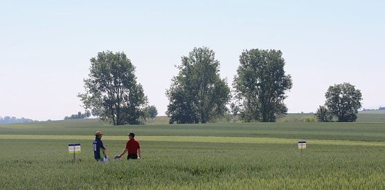 "Feldtag" bei Hochstedt (Foto: agl)