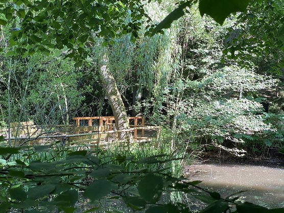 Liebesinsel im L&ouml;nspark (Foto: Sandra Witzel)