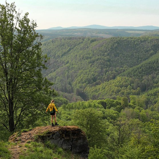 Wanderin am Brockenblick (Foto: Paula Schneller) Wanderin am Brockenblick (Foto: Paula Schneller)