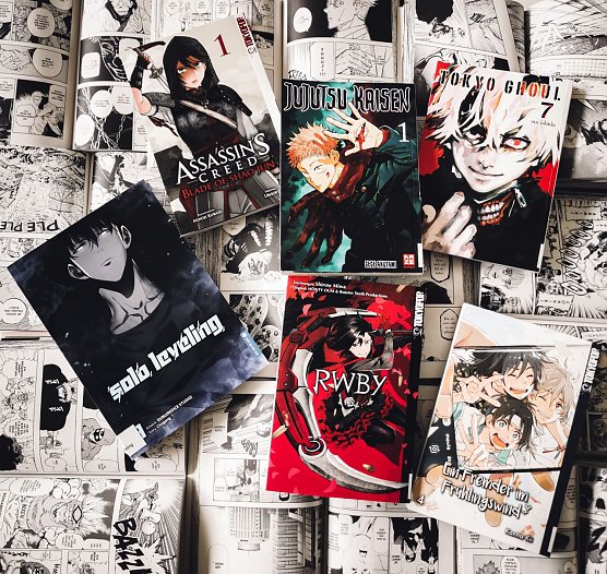 Die Lesetipps der Stadtbibliothek befassen sich heute mit japanischen Mangas (Foto: Stadtverwaltung Nordhausen)