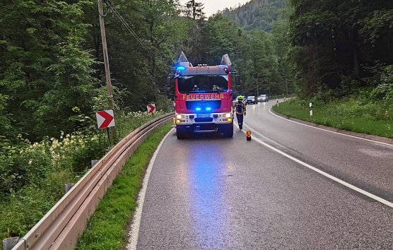 Unfall am Netzkater (Foto: Freiwillige Feuerwehr Ilfeld/Wiegersdorf / SD)