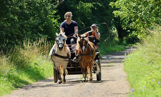 Entspannter Ausflug f&uuml;r Mensch und Tier (Foto: emw)
