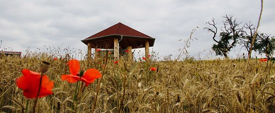 L&auml;dt zum verweilen ein: der neue Info-Pavillon bei Buchholz (Foto: agl)