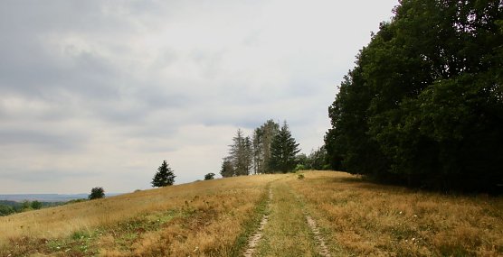 Wetterbild (Foto: agl)