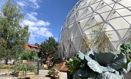 Der Klimapavillon (Foto: Stadtverwaltung Nordhausen)