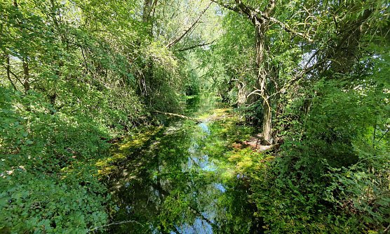 An der Salzaquelle (Foto: P.Blei) An der Salzaquelle (Foto: P.Blei)