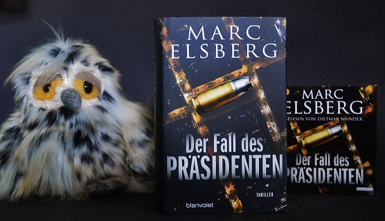 Marc Elsberg stellt im Tabakspeicher seinen Krimi "Der Fall des Pr&auml;sidenten" vor (Foto: Christian Dolle)