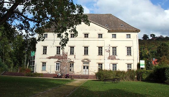 Das Neue Schloss in Neustadt (Foto: Archivbild)