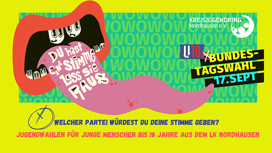 Du hast eine Stimme - in der kommenden Woche wird auch in Nordhausen eine Jugendwahl durchgef&uuml;hrt (Foto: Kreisjugendring Nordhausen)