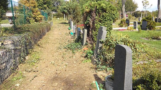 Hecke ist verschwunden (Foto: Anton)