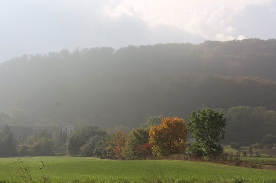Wetterbild (Foto: agl) Wetterbild (Foto: agl)