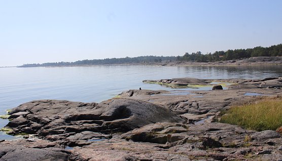 Spätsommer an der schwedischen Küste (Foto: oas) Spätsommer an der schwedischen Küste (Foto: oas)