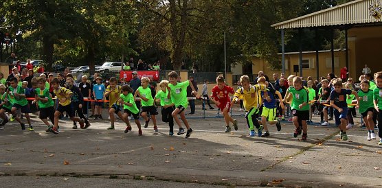 Herbstcrosslauf 2021 im Gehege (Foto: agl)