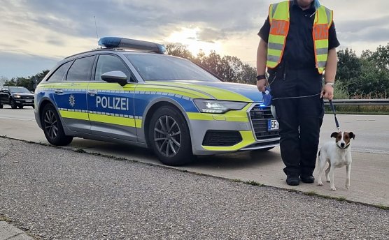 Bella ist wohlbehalten zur&uuml;ck von der Rennstrecke (Foto: API)