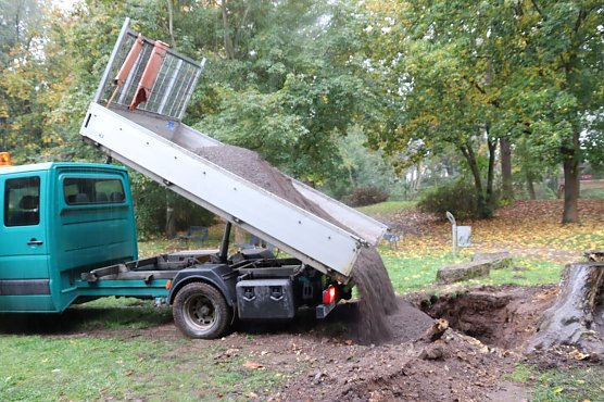 Im Stadtpark bereitet man die Neupflanzungen vor, welche die Trockensch&auml;den der letzten Jahre ersetzen sollen (Foto: Stadtverwaltung Nordhausen)