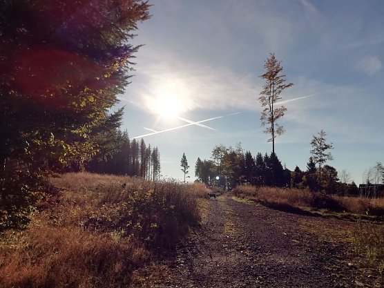 Sonnenstrahlen fallen ins sch&ouml;ne Sophienhof... (Foto: Wolfgang J&uuml;rgens)