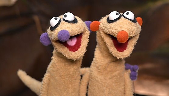 Jan & Henry als Detektive unterwegs in Bleicherode (Foto: Agentur) Jan & Henry als Detektive unterwegs in Bleicherode (Foto: Agentur)