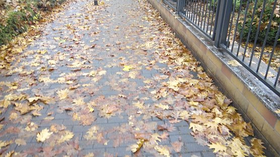 Gefahr: Klitschnasses Laub auf B&uuml;rgersteigen in der Grimmelallee. (Foto: Anton Adlerauge)