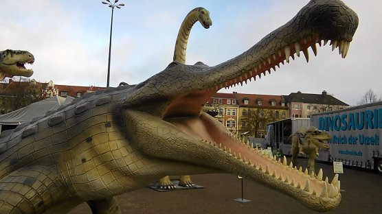 Furcht einfl&ouml;&szlig;end war auch Sarcosuchus imperato. Er  war der Schrecken in Fl&uuml;ssen und Teichen. Mehrfach schwerer und doppelt so lang wie heute lebende Echsen. (Foto: Kurt Frank)