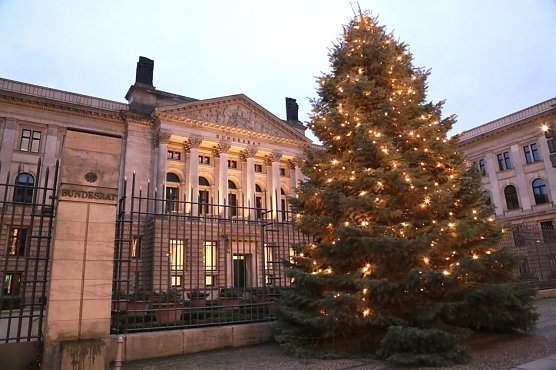 Der 12 Meter hohe Weihnachtsbaum vor dem Berliner Bundesratsgeb&auml;ude stammt aus Kahla (Th&uuml;ringer Forstamt Jena-Holzland). Traditionell liefert das ratsvorsitzende Bundesland den Schmuckbaum, 2021/22 ist dies Th&uuml;ringen (Foto: Bundesrat Frank Br&auml;uer)