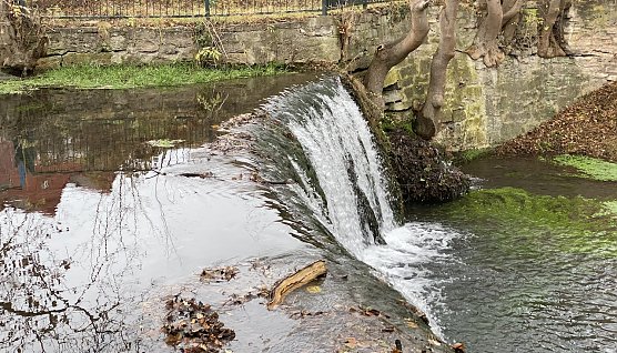 An der Salza in Bad Langensalza (Foto: oas) An der Salza in Bad Langensalza (Foto: oas)