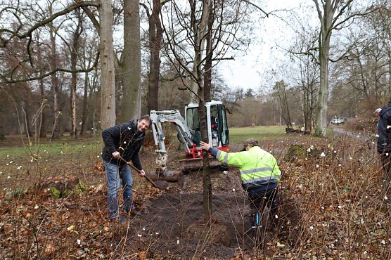 Neupflanzungen im Stadtpark (Foto: Stadtverwaltung Nordhausen)