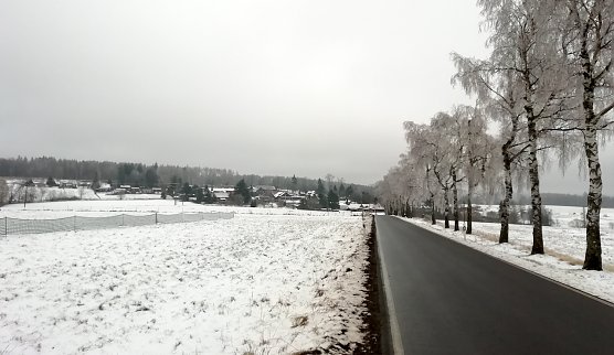 Die derzeitige Wetterlage im höher gelegenen Harz (Foto: W.Jörgens) Die derzeitige Wetterlage im höher gelegenen Harz (Foto: W.Jörgens)