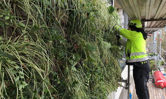 Anbringen der gr&uuml;nen Fassadenteile (Foto: LA21)