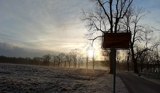 Noch sieht es nicht nach weißer Weihnacht aus - jedenfalls nicht im Flachland (Foto: W.Jörgens) Noch sieht es nicht nach weißer Weihnacht aus - jedenfalls nicht im Flachland (Foto: W.Jörgens)