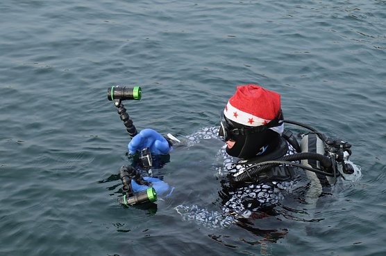 Rund 20 "Hartgesottene" gingen gestern mit dem Baum auf Tauchstation (Foto: agl)
