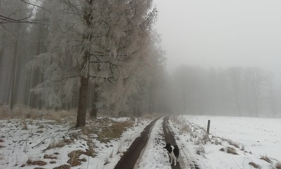 Im oberen sind die Wintersportbedingungen leidlich gut, zum Rodeln jedenfalls reicht es aus.  (Foto: W.J&ouml;rgens)