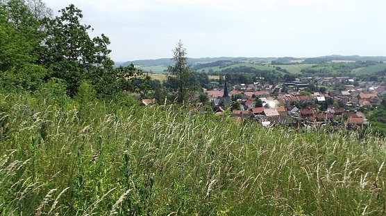 Blick vom M&uuml;hlberg  (Foto: Silke Staubitz)