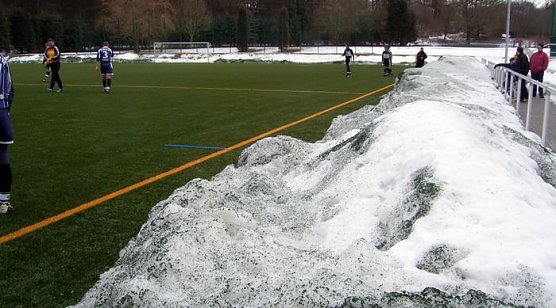 Wacker (Foto: K. Verkouter)