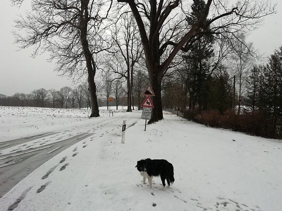In den Hochlagen bleibt es auch heute ungem&uuml;tlich  (Foto: W. J&ouml;rgens)