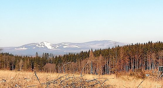 Die Sophienh&ouml;fer k&ouml;nnen jetzt jeden Tag den Brocken sehen. (Foto: W.J&ouml;rgens)