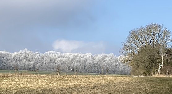 Nachts bleibt's frostig, tagsüber schön (Foto: oas) Nachts bleibt's frostig, tagsüber schön (Foto: oas)